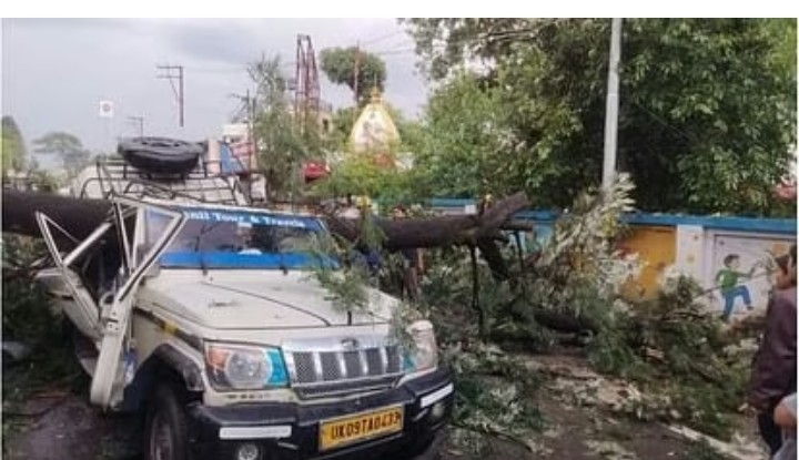 देहरादून FRI रोड पर हादसा चलती गाड़ी पर गिरा बड़ा पेड़ एक सवारी की मौके पर मौत हो गई